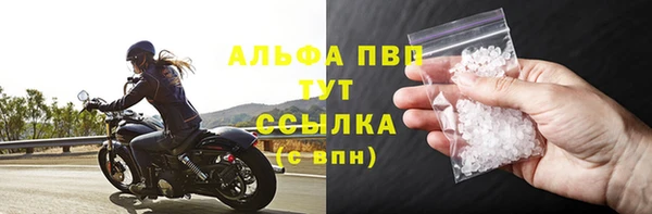 гидра Абаза